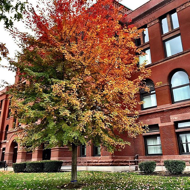 Fall Colors - @megancmott